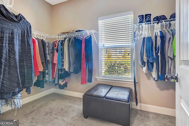 walk in closet featuring carpet flooring