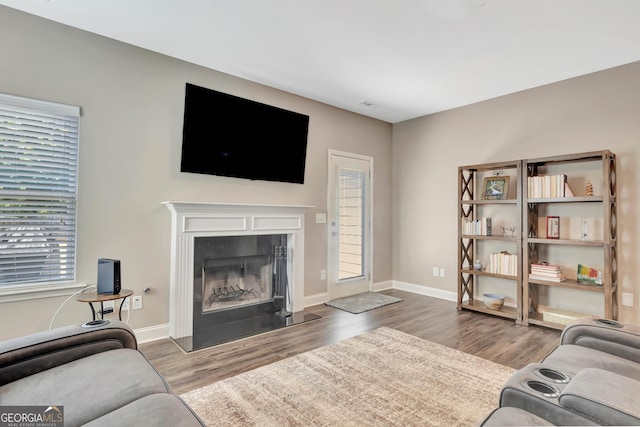 living room with a fireplace, wood finished floors, and baseboards