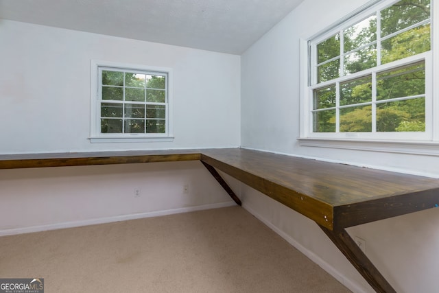 unfurnished office featuring carpet floors