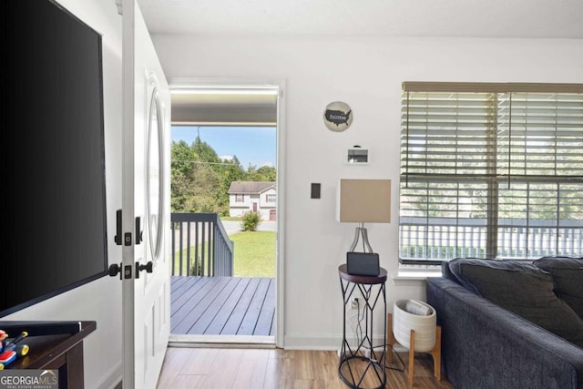 doorway to outside featuring light hardwood / wood-style flooring and a healthy amount of sunlight