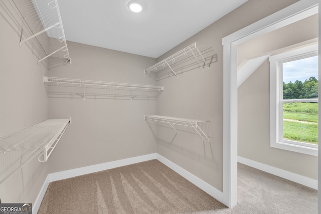 walk in closet with carpet