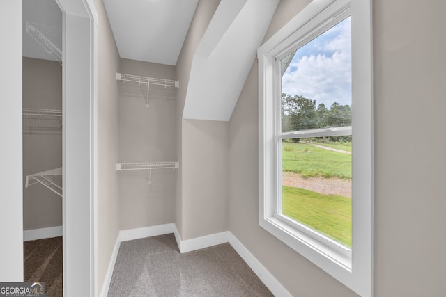 spacious closet with carpet flooring and vaulted ceiling