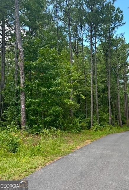 Listing photo 2 for 0 Deep S Rd Lot 2, Senoia GA 30276