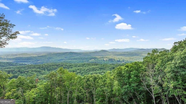 view of mountain feature