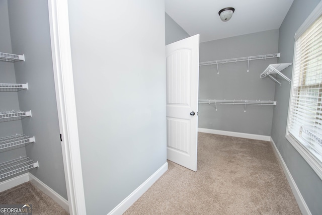 walk in closet featuring light carpet