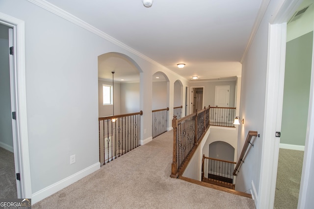 hall with crown molding and carpet