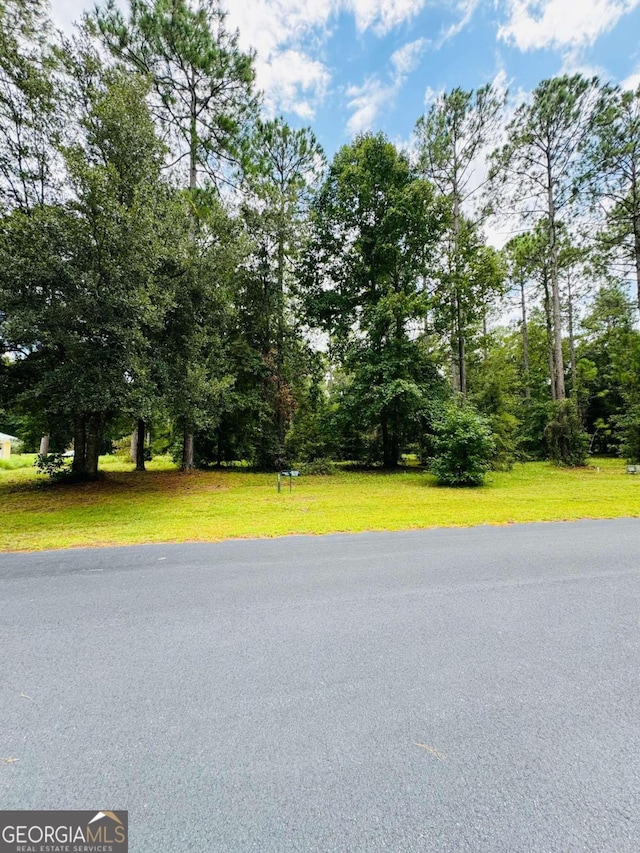 LOT557 NE Wood Stork Dr, Townsend GA, 31331 land for sale