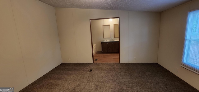 spare room with carpet, plenty of natural light, and a textured ceiling