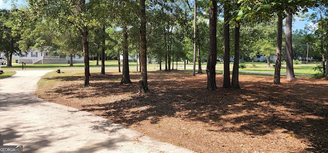 view of community featuring driveway