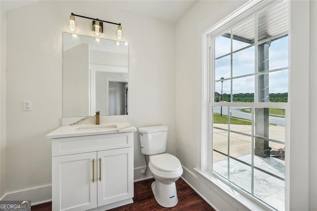 bathroom featuring toilet, vanity, and wood-type flooring