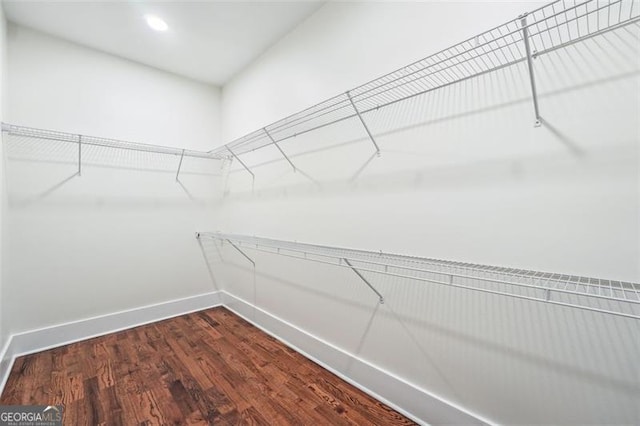 spacious closet with wood-type flooring