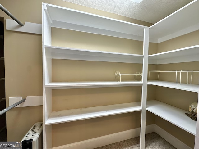 pantry with radiator heating unit