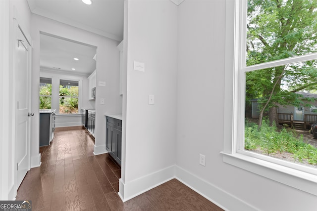 corridor featuring a wealth of natural light, crown molding, and dark hardwood / wood-style floors