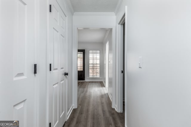 hall with ornamental molding, a textured ceiling, and dark hardwood / wood-style floors