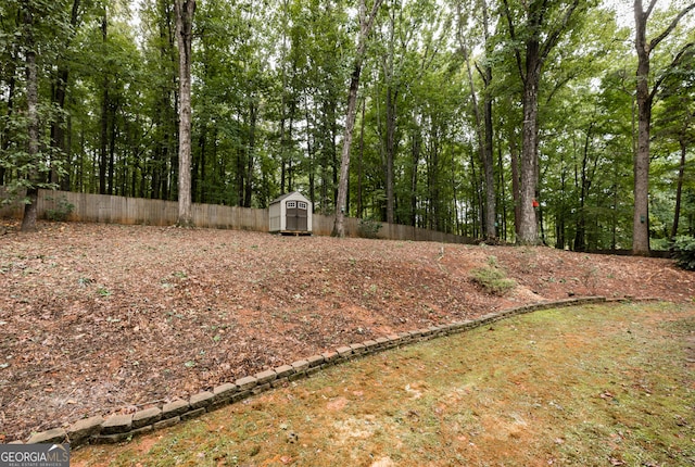 view of yard with a shed