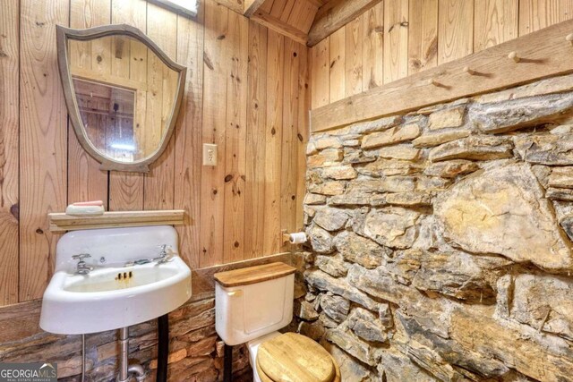 bathroom with sink, wood walls, and toilet