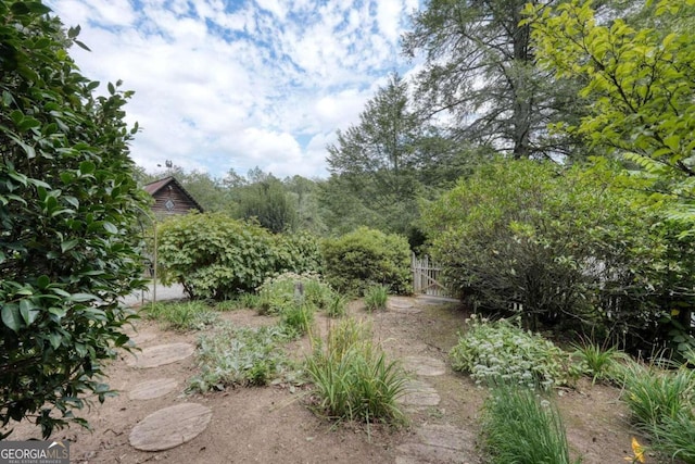 view of yard with a gate