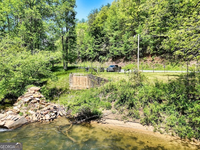 2350 Dial Rd, Blue Ridge, GA 30513 - view of asphalt road