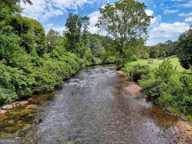 property view of water with a wooded view