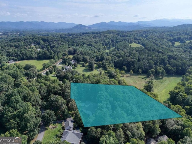 birds eye view of property featuring a mountain view