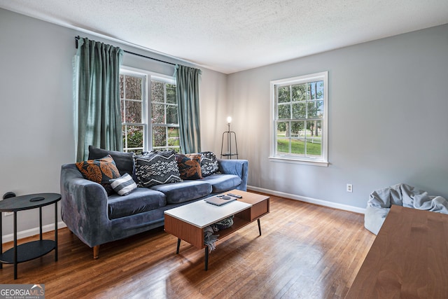 living room featuring hardwood / wood-style flooring and a textured ceiling