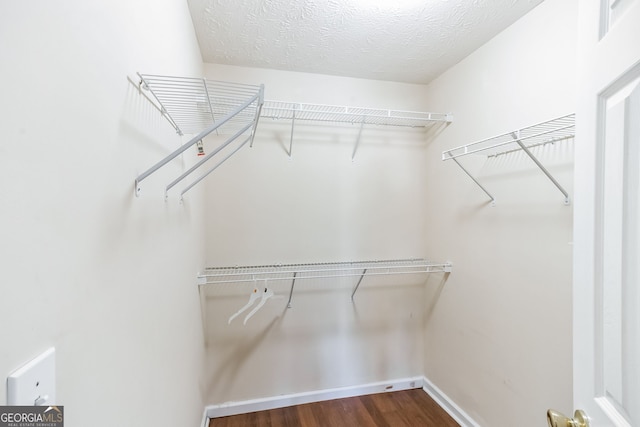 spacious closet with hardwood / wood-style floors