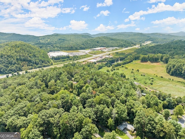 bird's eye view featuring a mountain view and a forest view