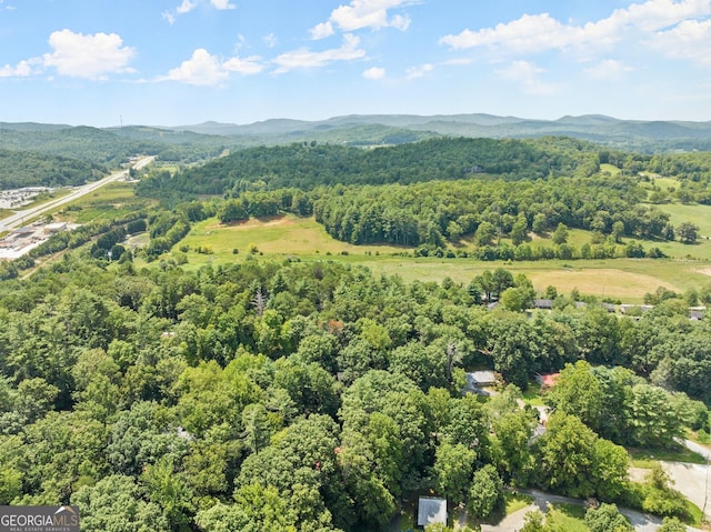 birds eye view of property featuring a forest view and a mountain view