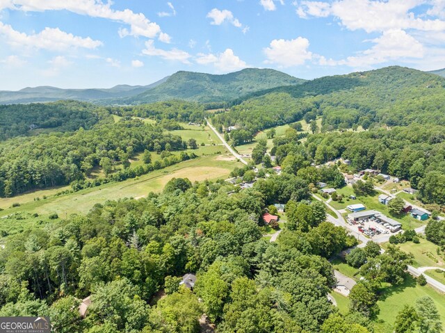 drone / aerial view with a mountain view