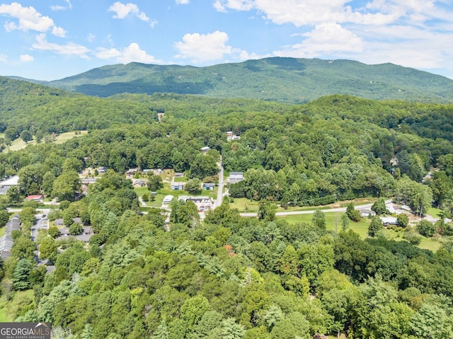 birds eye view of property with a forest view and a mountain view