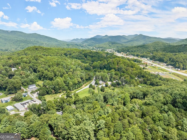 birds eye view of property with a mountain view