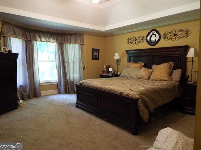 bedroom with carpet flooring and a raised ceiling