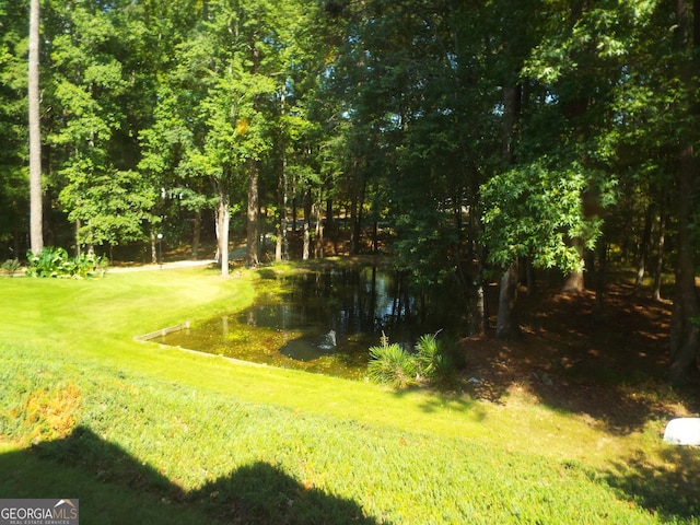 view of home's community featuring a water view and a lawn