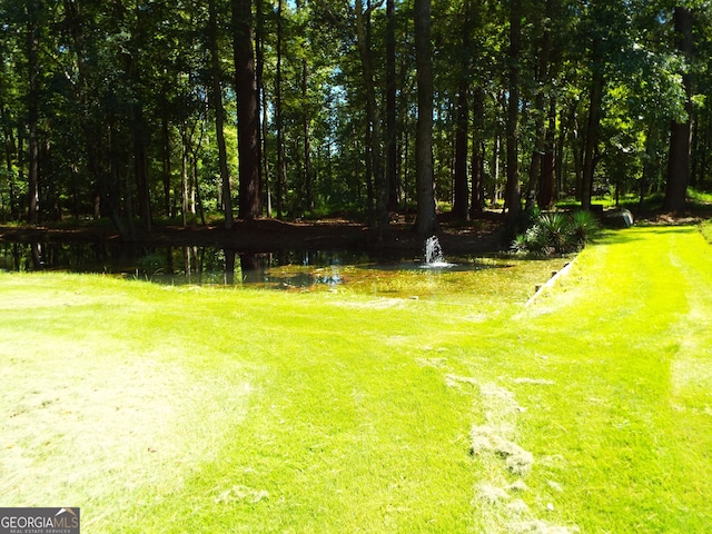 view of yard featuring a water view