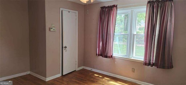 interior space featuring hardwood / wood-style flooring and plenty of natural light