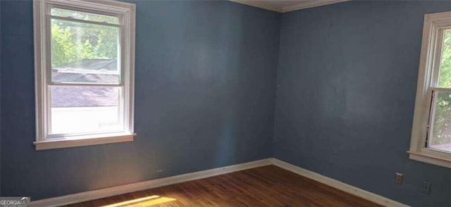 unfurnished room featuring plenty of natural light and wood-type flooring