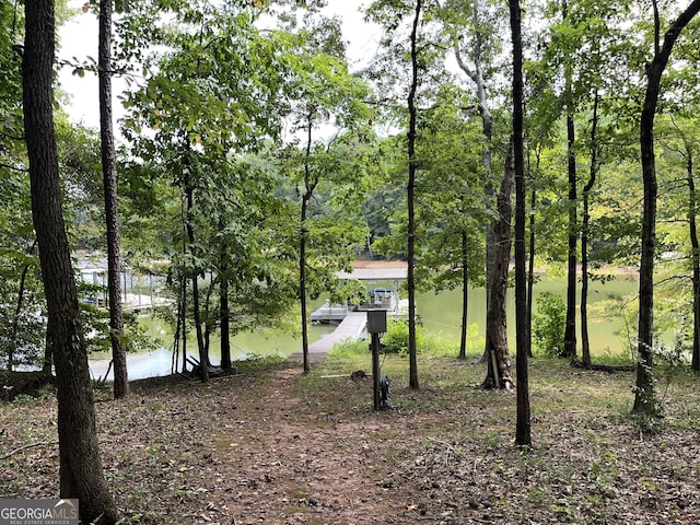 view of yard featuring a water view