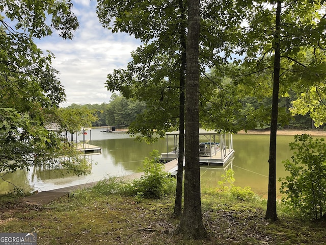 property view of water with a dock