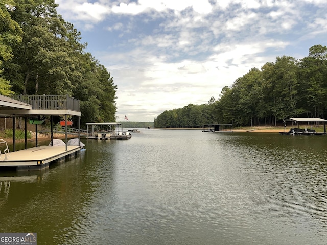 dock area with a water view