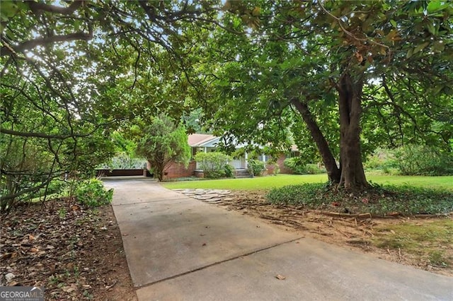 view of property hidden behind natural elements with a front lawn and concrete driveway