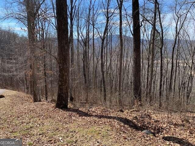 LOT2 Rocky Knob Ests, Young Harris GA, 30582 land for sale