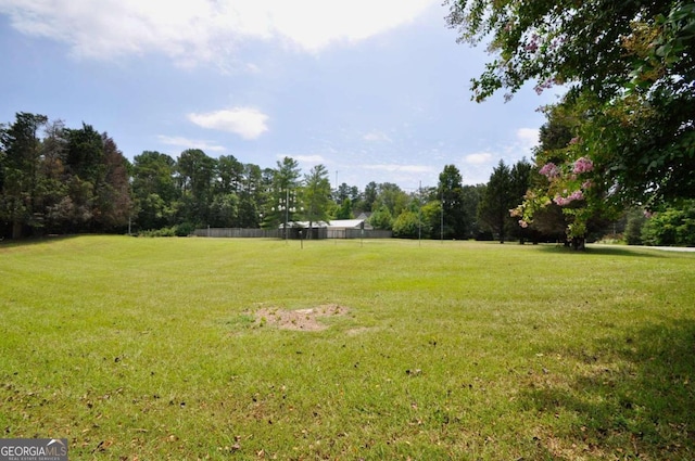 1250 Pete Dickens Rd, Bogart, GA 30622 - view of yard