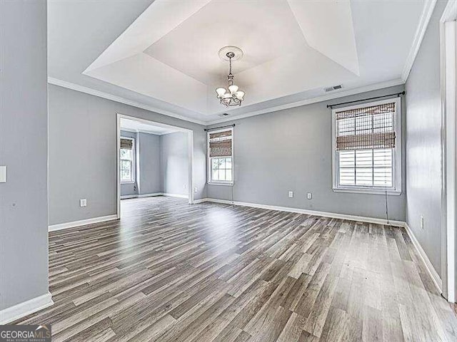 unfurnished room featuring a wealth of natural light, a raised ceiling, and wood-type flooring