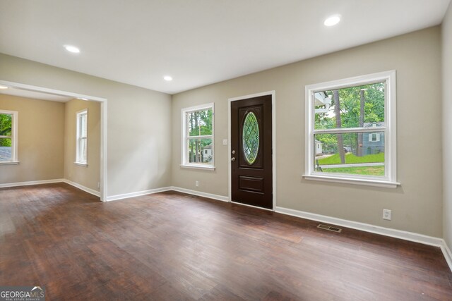 foyer with a wealth of natural light and dark wood-type flooring