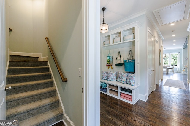 stairs featuring ornamental molding and hardwood / wood-style floors