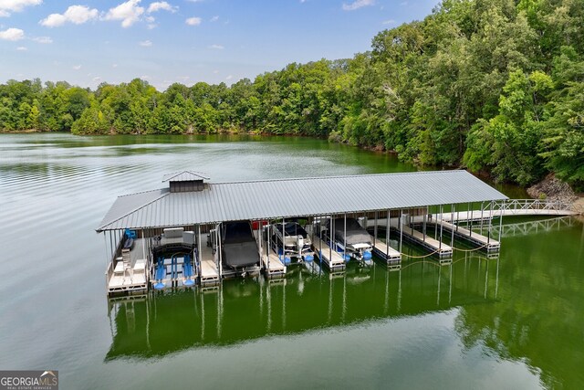 view of dock with a water view