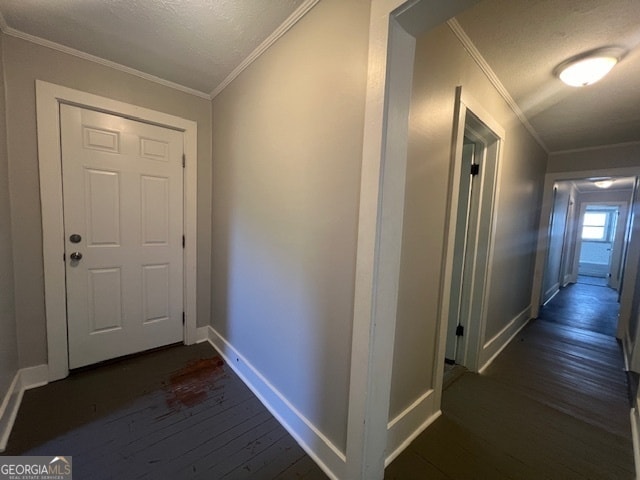 interior space featuring crown molding, a textured ceiling, and dark hardwood / wood-style flooring