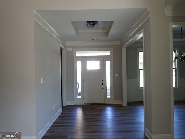 entrance foyer featuring a raised ceiling, dark wood-type flooring, and ornamental molding