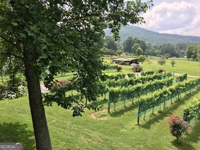 property view of mountains featuring a rural view