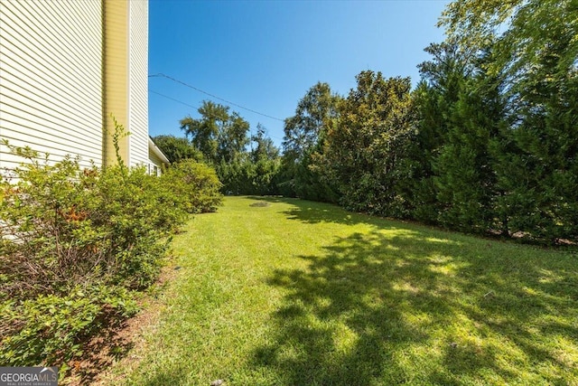 view of yard